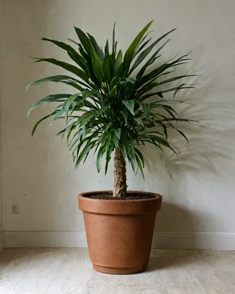 Parlour Palm
